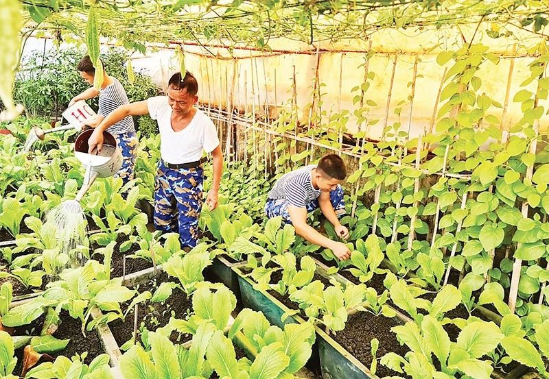 Trường Sa ngày mới