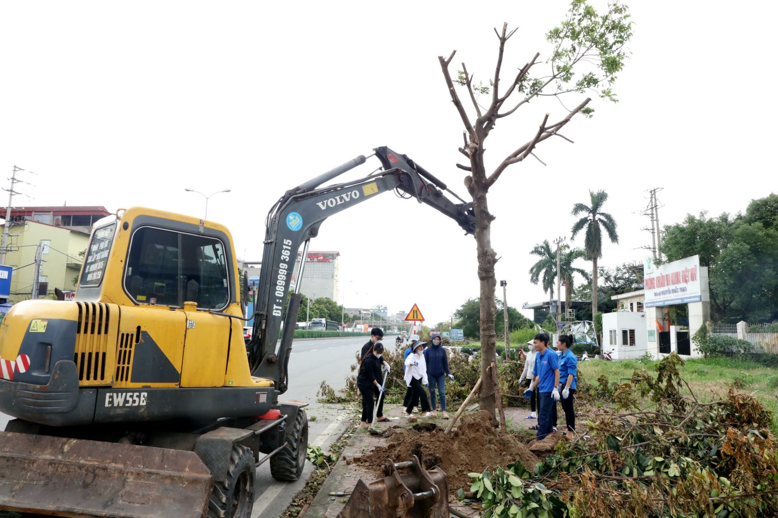 Thị xã Mỹ Hào khẩn trương trồng và thay thế trên 300 cây xanh bị gãy đổ trên các tuyến phố do bão số 3